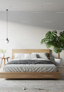 Modern Bedroom with Monstera and Minimalist Decor