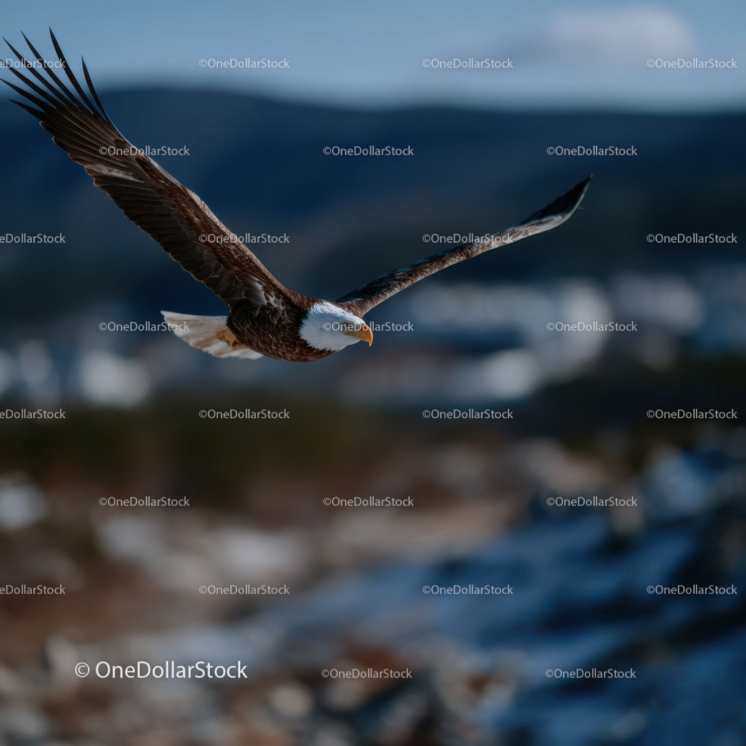 Majestic Bald Eagle in Flight Over Mountain Landscape