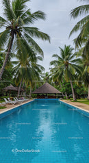 Tropical Resort with Pool and Palms for Relaxation and Vacation