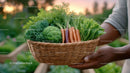 Fresh Organic Vegetables in a Wicker Basket with Kale Carrots and Radish
