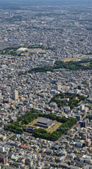 Aerial View of Tokyo with City Skyline and Green Parks