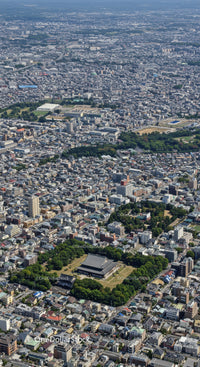 Aerial View of Tokyo with City Skyline and Green Parks