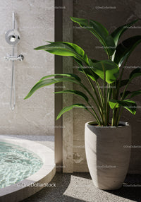 Lush Green Houseplant in Stylish Modern Interior with Natural Light