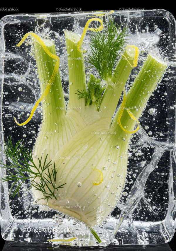 Fresh fennel bulb submerged in sparkling water with lemon zest