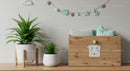 Nursery Crate with Plush Cushions and Green Plants in Modern Home