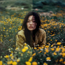 color grading preview with Retro LUT Pack
