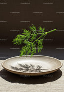 Fresh dill sprig casting shadow on ceramic plate