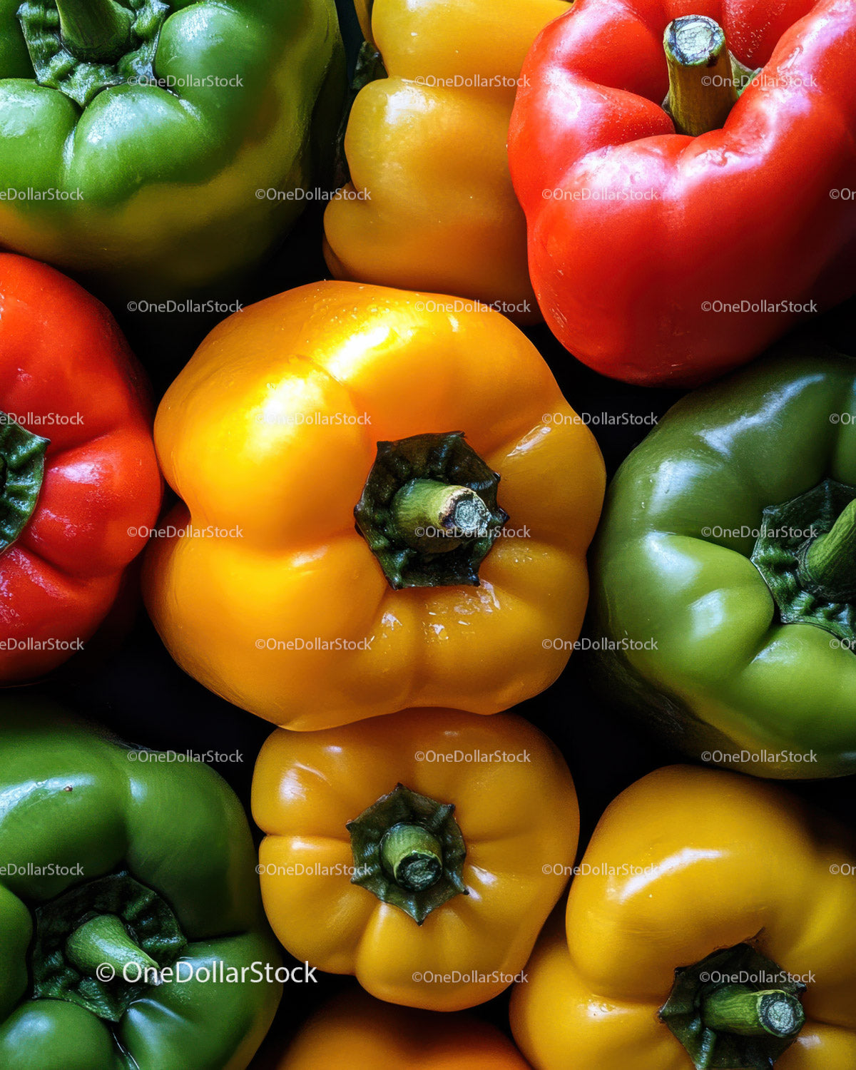 Colorful Bell Peppers in a Fresh Vegetable Arrangement