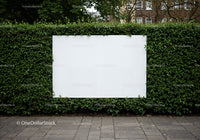 Blank white billboard framed by green hedge outdoors
