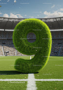 Giant Grass Number Nine in the Middle of Soccer Stadium