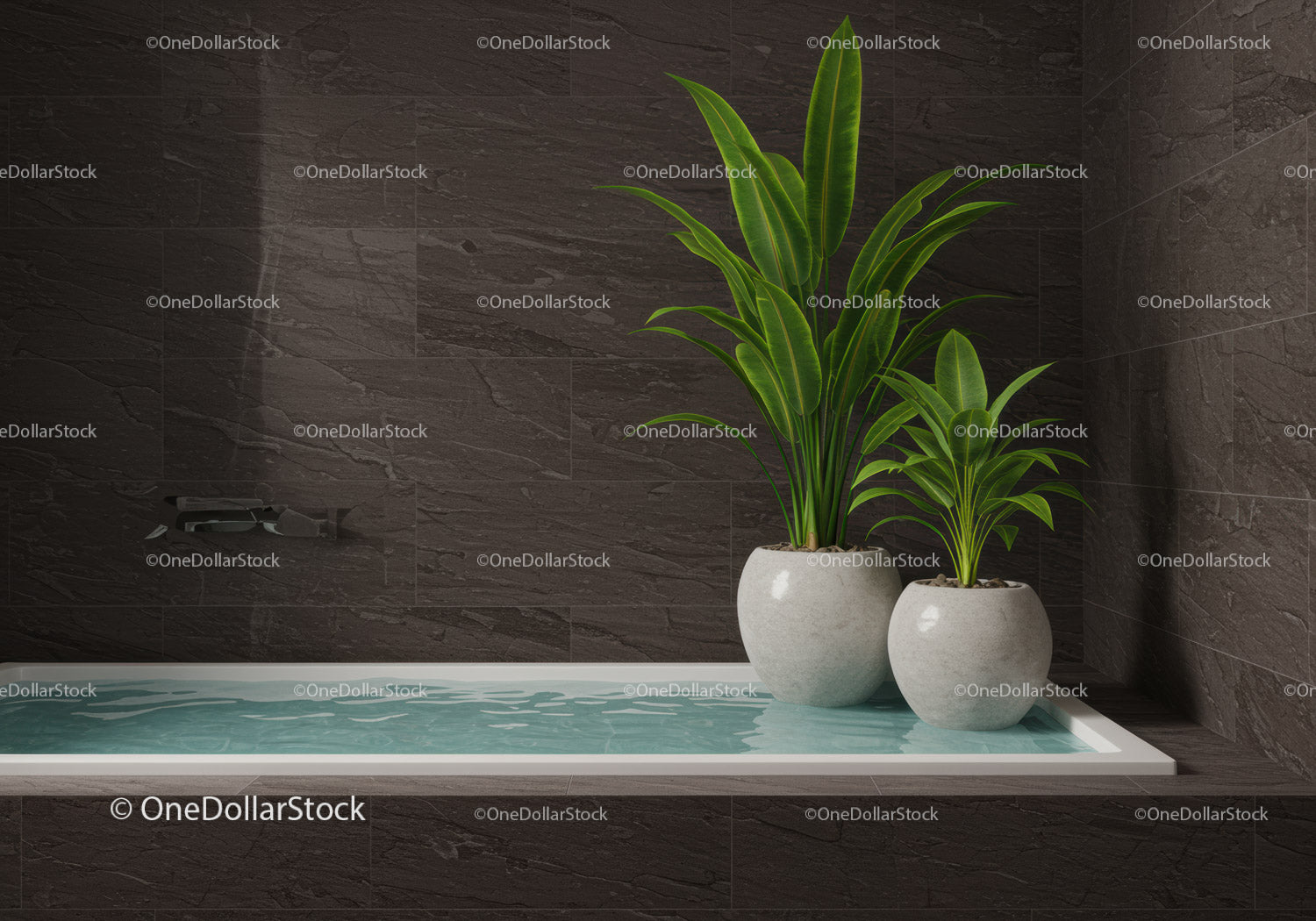 Indoor Plant Arrangement with Potted Green Foliage in Modern Interior