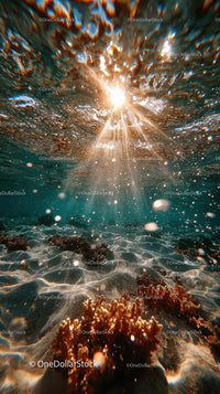 Enchanting Underwater Scene with Sunlight and Bubbles