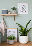 Indoor Greenhouse with Potted Plants and Botanical Wall Art