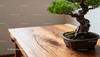 Serene Bonsai Tree on Polished Wooden Table