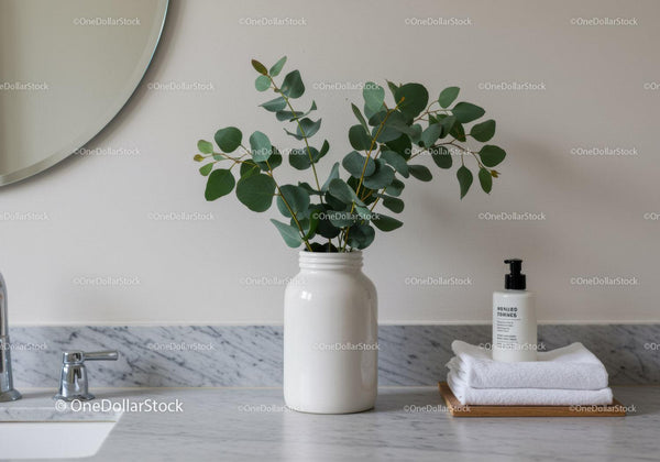 Modern Kitchen Decor with Green Eucalyptus in White Vase