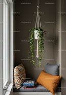 Indoor Hanging Plant in Macrame Holder with Cushions in Cozy Nook