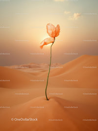 Delicate flower blooming amid warm desert dunes at sunset