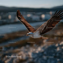 Majestic Bald Eagle in Flight Over Mountainous Landscape