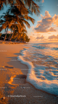 Scenic Tropical Beach Sunset with Palm Trees and Ocean Waves