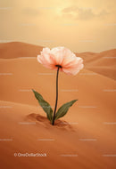 Delicate pink flower blooming in vast desert sand