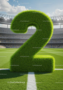 Green Grass Number Two on Football Stadium Field