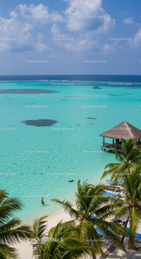 Tropical Beach with Palm Trees and Overwater Bungalow