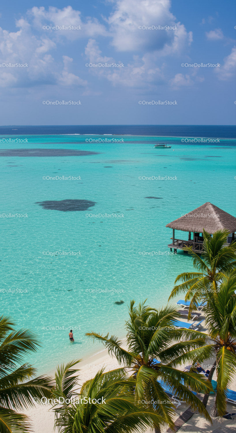 Tropical Beach with Palm Trees and Overwater Bungalow