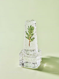 Green Pine Branch Frozen Inside Clear Ice Cube