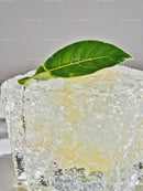 Fresh green leaf resting on melting ice cube