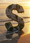 Natural wood letter S decorated with seaweed at sunset