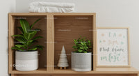 Green Houseplants and Modern Decor on Wooden Shelf for Stylish Home