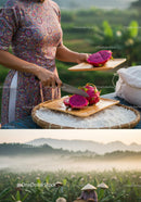 Woman slicing vibrant dragon fruit in morning field