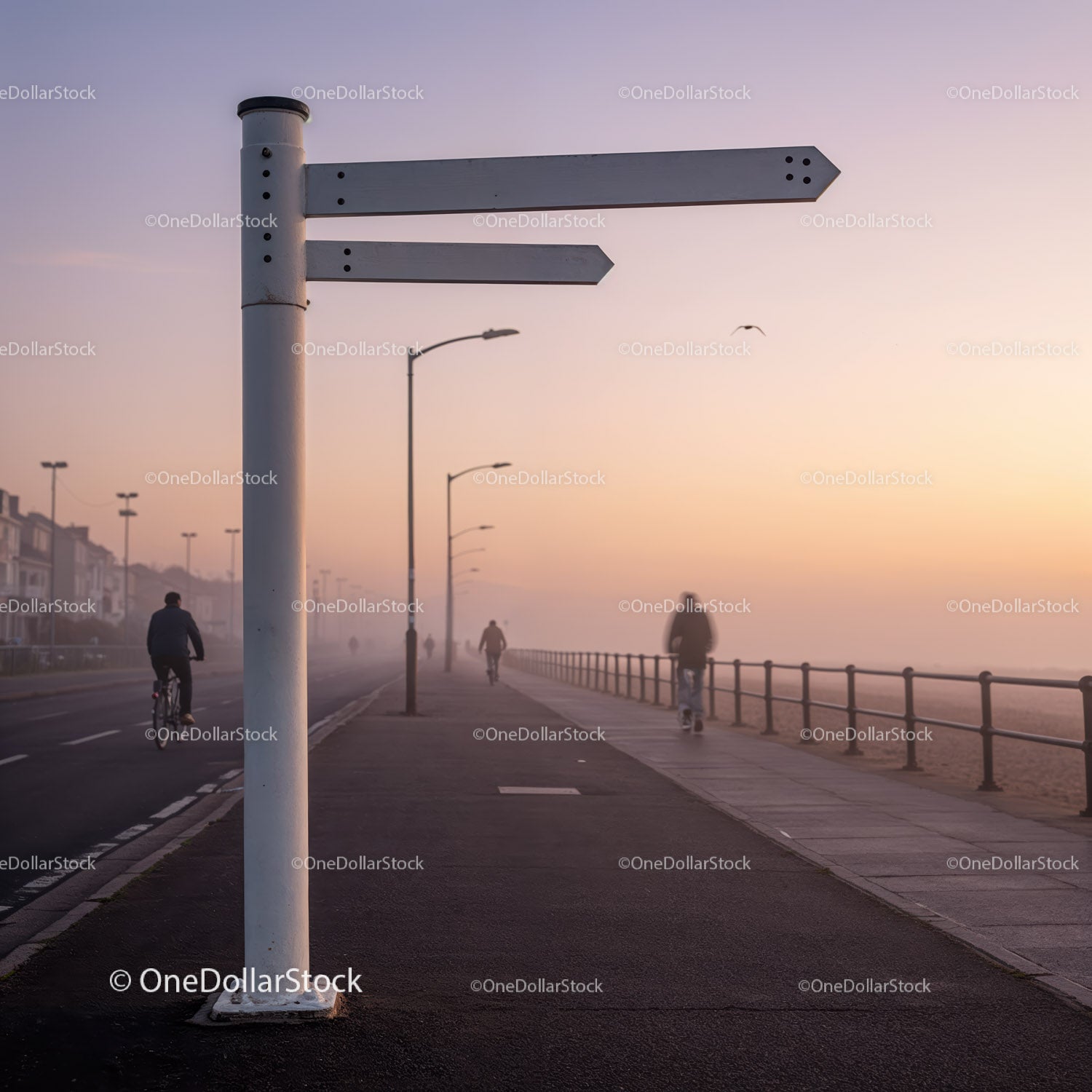 Cyclists riding along foggy coastal promenade at dawn