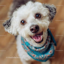 Cute Happy Dog with Bright Eyes and Playful Expression