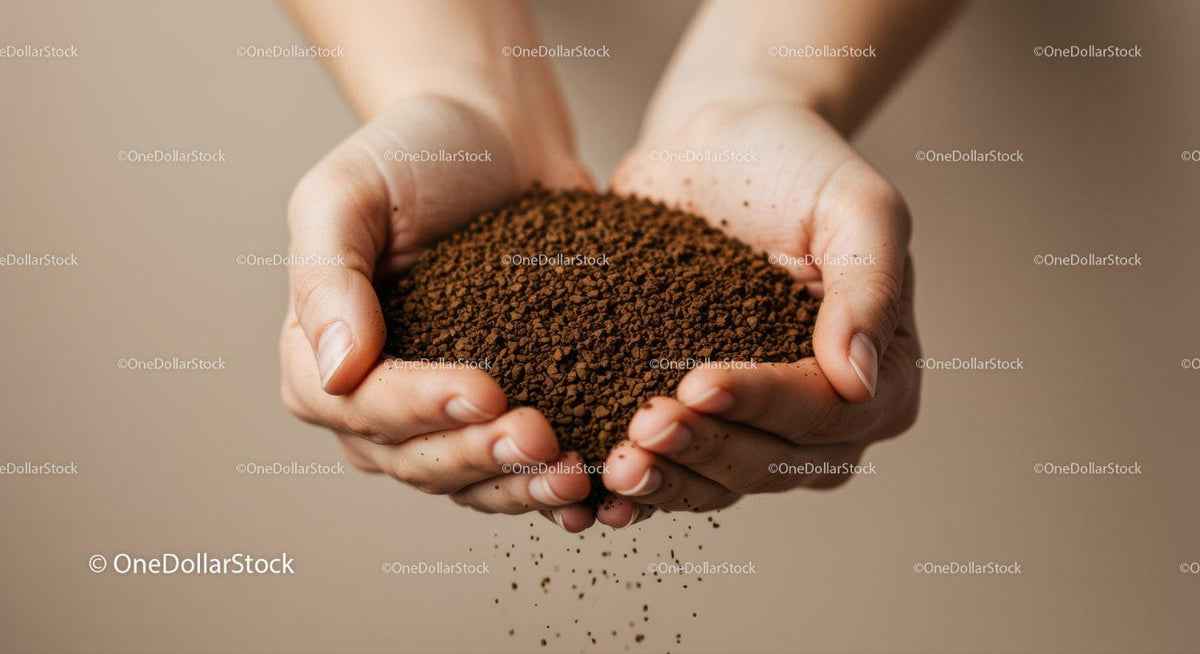 Hands gently holding loose coffee granules