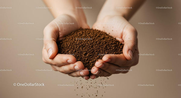 Hands gently holding loose coffee granules