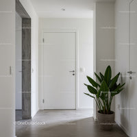 Minimalist White Hallway with Indoor Plant and Modern Design