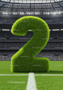 Large Grass Texture Number Two on Soccer Field