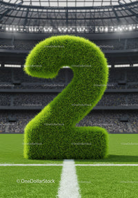 Large Grass Texture Number Two on Soccer Field