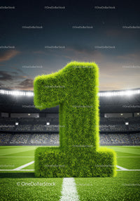 Grass Number One on Soccer Field Under Stadium Lights