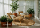Cozy sunlit lounge area with natural wicker chairs