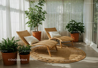 Cozy sunlit lounge area with natural wicker chairs
