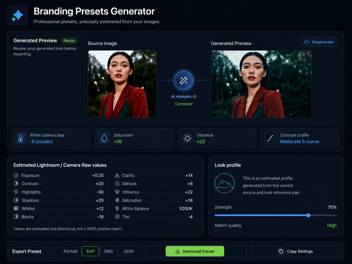 Branding Presets Generator home screenshot