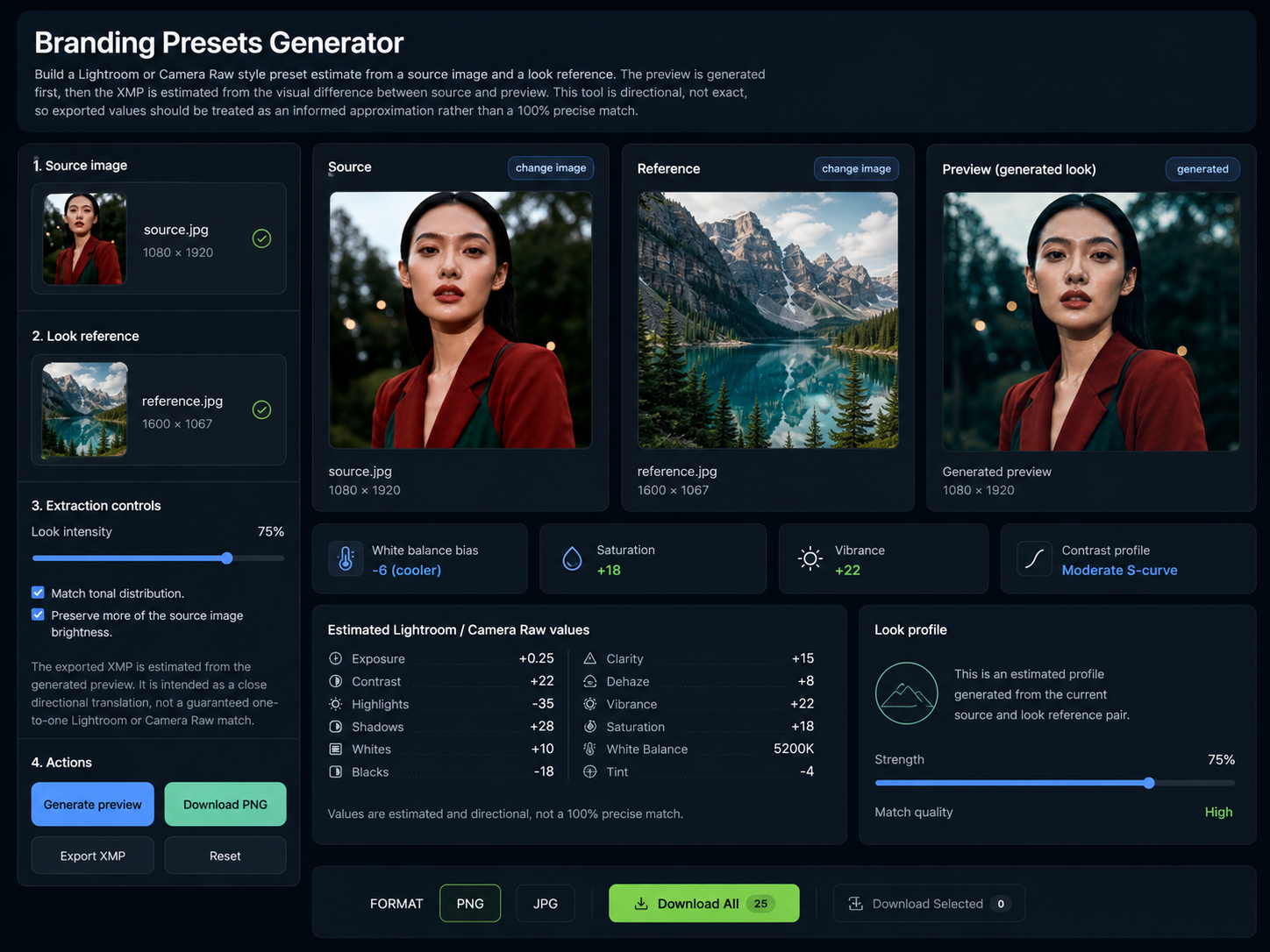 Branding Presets Generator analysis screenshot