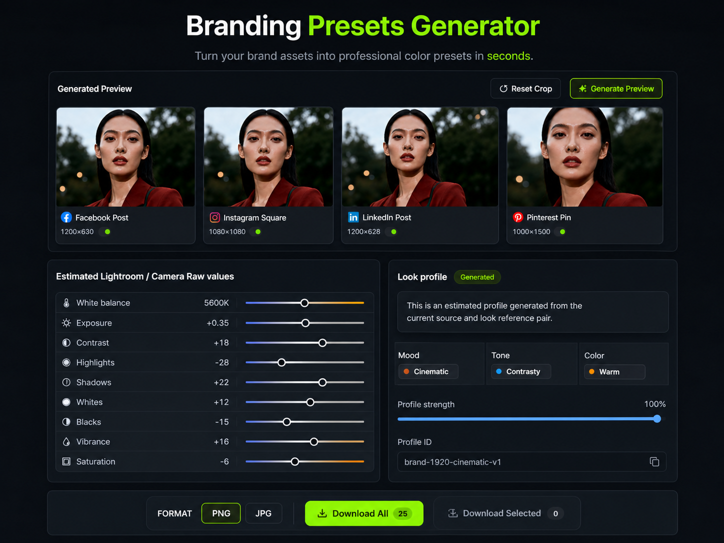 Branding Presets Generator export screenshot