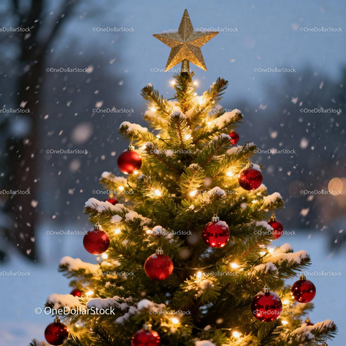 Snowy Christmas Tree Decorated with Lights and Red Ornaments