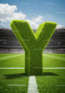 Green Grass Letter Y Standing on Football Field