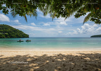 Scenic Tropical Beach with Blue Ocean and Green Palm Trees