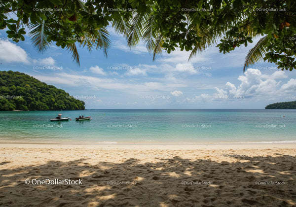 Scenic Tropical Beach with Blue Ocean and Green Palm Trees