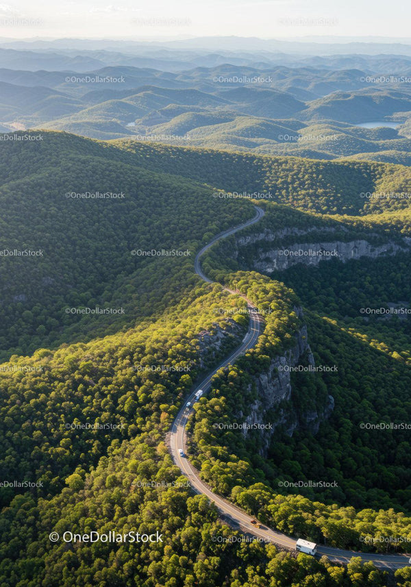 Winding road cutting through dense green forest hills